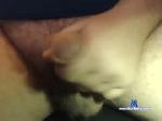 sethisboss chaturbate profile picture