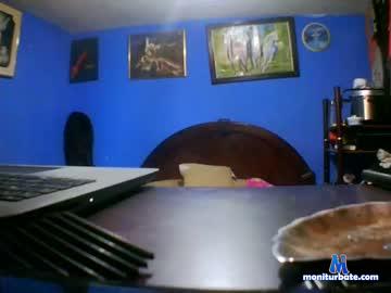 shachaahot chaturbate livecam performer profile
