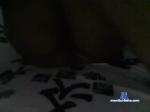 shachariel chaturbate profile picture