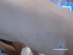 shagadik chaturbate profile picture