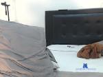 shahid_sam chaturbate profile picture