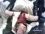 shebahe chaturbate profile picture