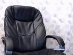 shongrey chaturbate profile picture