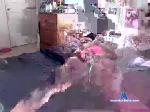 shorty1816 chaturbate profile picture