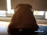 sissyboycristelle chaturbate profile picture