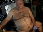 sjbearchub chaturbate profile picture