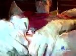 skin_is_in_now chaturbate profile picture