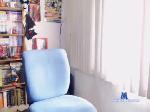 sleepwalker__ chaturbate profile picture