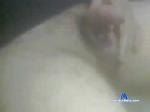 smalldick_kobra chaturbate profile picture