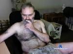 softfurrydaddybear chaturbate profile picture