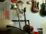 sonnyboy18 chaturbate profile picture