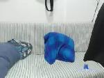 sophiasimons chaturbate profile picture