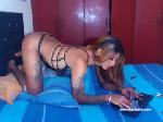 sorayabigcockx chaturbate profile picture