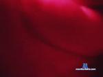 spunandthrobbing chaturbate profile picture