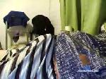 stacy_jacob chaturbate profile picture