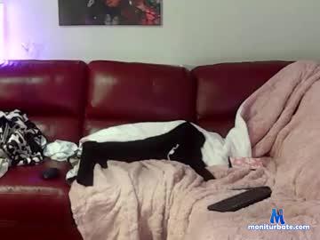 stephchambers chaturbate livecam performer profile