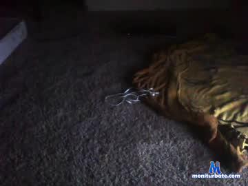 straightnstained chaturbate livecam performer profile