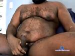 suburbcub chaturbate profile picture