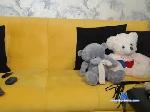 sun_he chaturbate profile picture