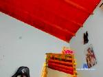susan_fox1 chaturbate profile picture