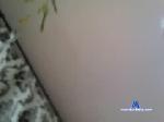 tanya_cherry92 chaturbate profile picture
