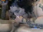 tattedgurl73 chaturbate profile picture