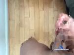 taylor332 chaturbate profile picture