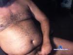 td_bear chaturbate profile picture