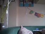 th0mas8819 chaturbate profile picture