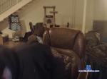 thattrippyguy chaturbate profile picture