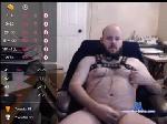 the_cub11 chaturbate profile picture