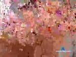 the_horses chaturbate profile picture