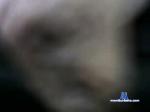 theredbaron21 chaturbate profile picture