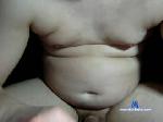 theswedishguy chaturbate profile picture