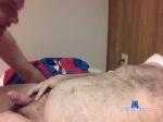 tnbear83 chaturbate profile picture