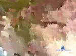 tnff4211 chaturbate profile picture