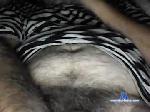 tohsmuc5511 chaturbate profile picture