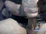 tom0242 chaturbate profile picture