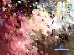 transdaddyboi chaturbate profile picture