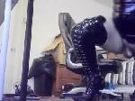 transgenderhot1968 chaturbate profile picture
