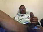 trini1695 chaturbate profile picture