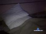 tripflipper chaturbate profile picture
