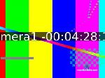 ttteessttt chaturbate profile picture