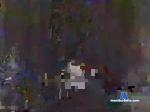 username21212 chaturbate profile picture
