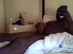 vibinmall chaturbate profile picture