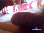 voblerr chaturbate profile picture