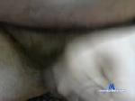 vv2233 chaturbate profile picture