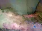 waltermaz chaturbate profile picture