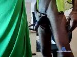 weelyvetv1 chaturbate profile picture
