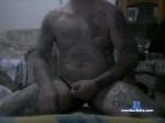 wellhung20cm chaturbate profile picture
